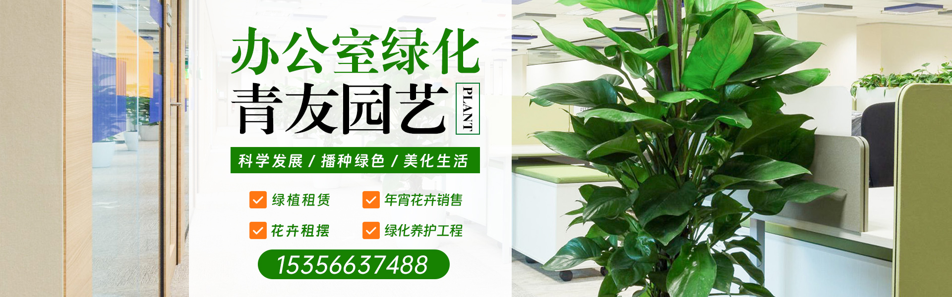 绿植租赁服务