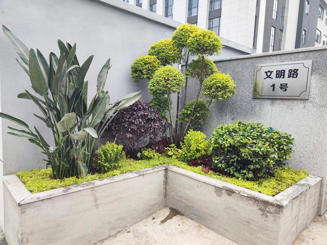 威廉希尔足球官方网站成功客户案例四